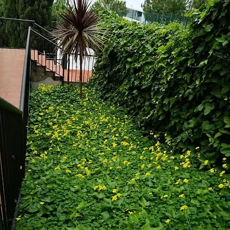 Appartement Dana Ii Eurogolf, Vistas, Wifi, Piscina Y Parking